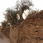 Casa De Pimenteis * Vimioso