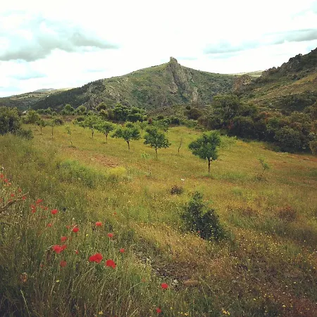 Holiday home Casa De Pimenteis