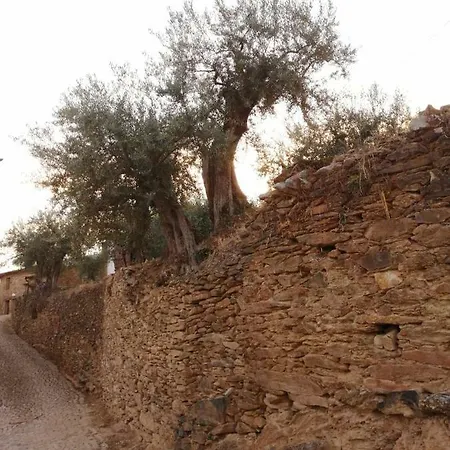 Casa De Pimenteis * Vimioso