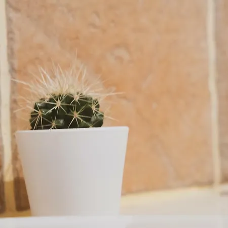 Ferienhaus Casa De Pimenteis