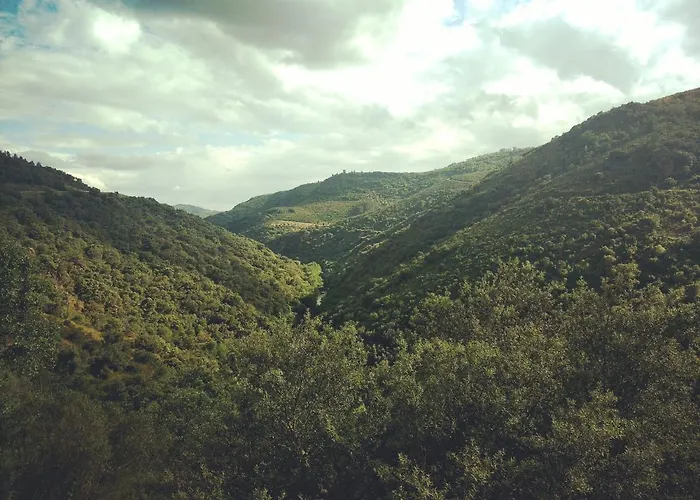 Casa De Pimenteis Σπίτι διακοπών *