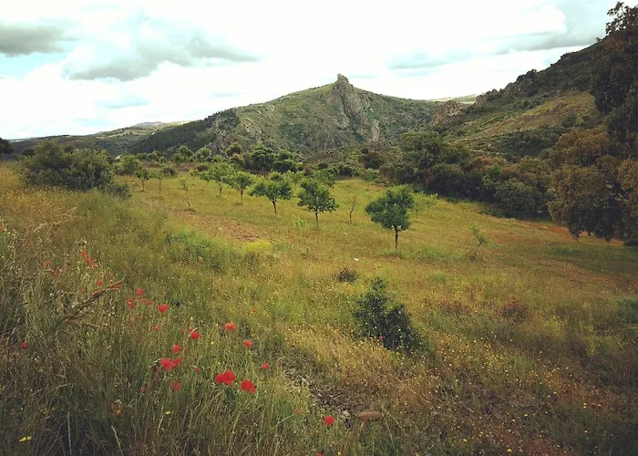 Σπίτι διακοπών Casa De Pimenteis