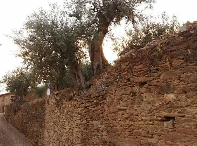 Casa De Pimenteis * Vimioso