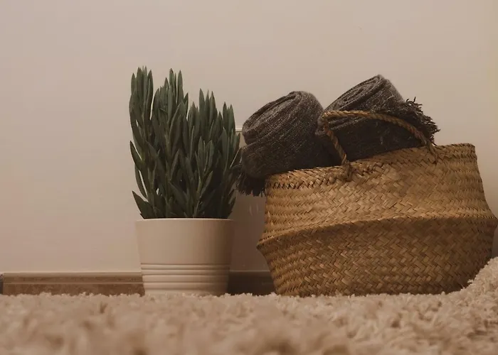 Casa De Pimenteis Vimioso