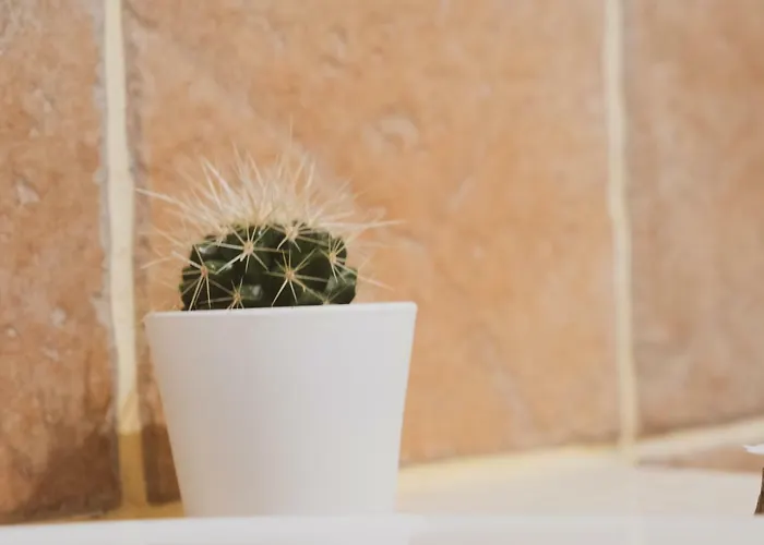 Сasa de vacaciones Casa De Pimenteis